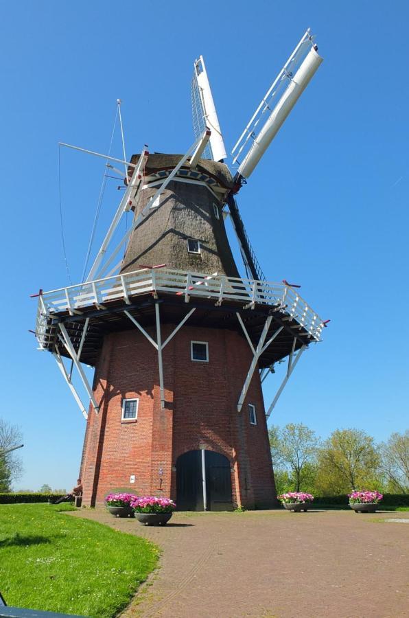 Ferdivedaasje